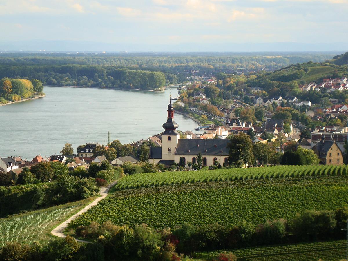 Best Western Wein- Und Parkhotel ニーアシュタイン エクステリア 写真